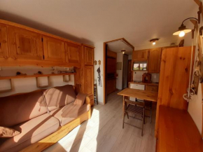 Studio cosy 2/3 pers à 20m des pistes, animaux admis - FR-1-561-132